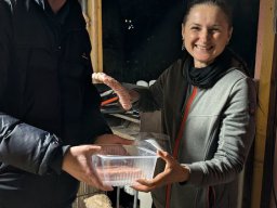 Weihnachtsmarkt 2025